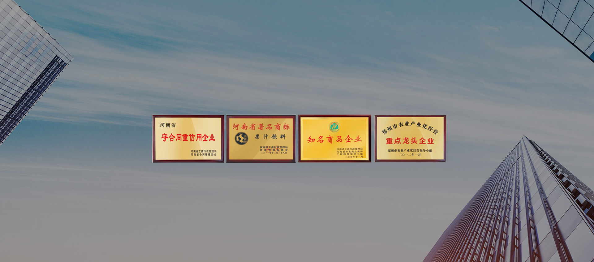 頂真資質(zhì)實(shí)力 · 榮譽(yù)見證成績 頂真資質(zhì)實(shí)力 · 榮譽(yù)見證成績